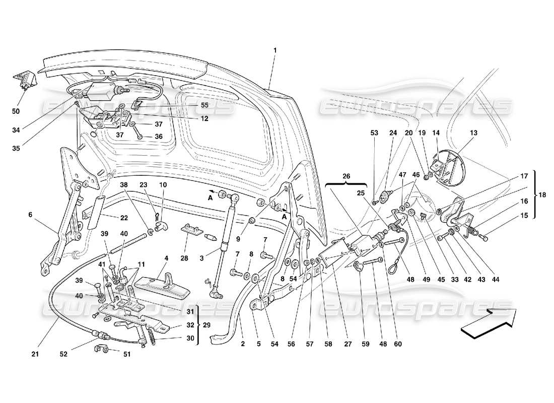 Ferrari 456 M GT/M GTA Trunk Hood Bonnet and Petrol Cover Parts Diagram