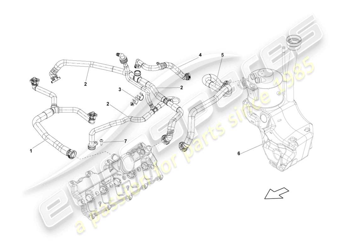Lamborghini LP550-2 SPYDER (2011) VENTILATION FOR CYLINDER HEAD COVER Part Diagram