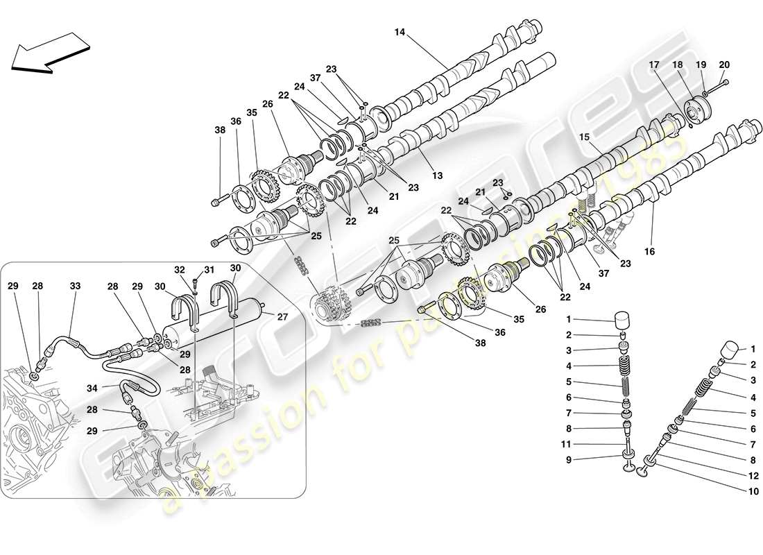 Ferrari F430 Coupe (Europe) timing system - tappets Part Diagram