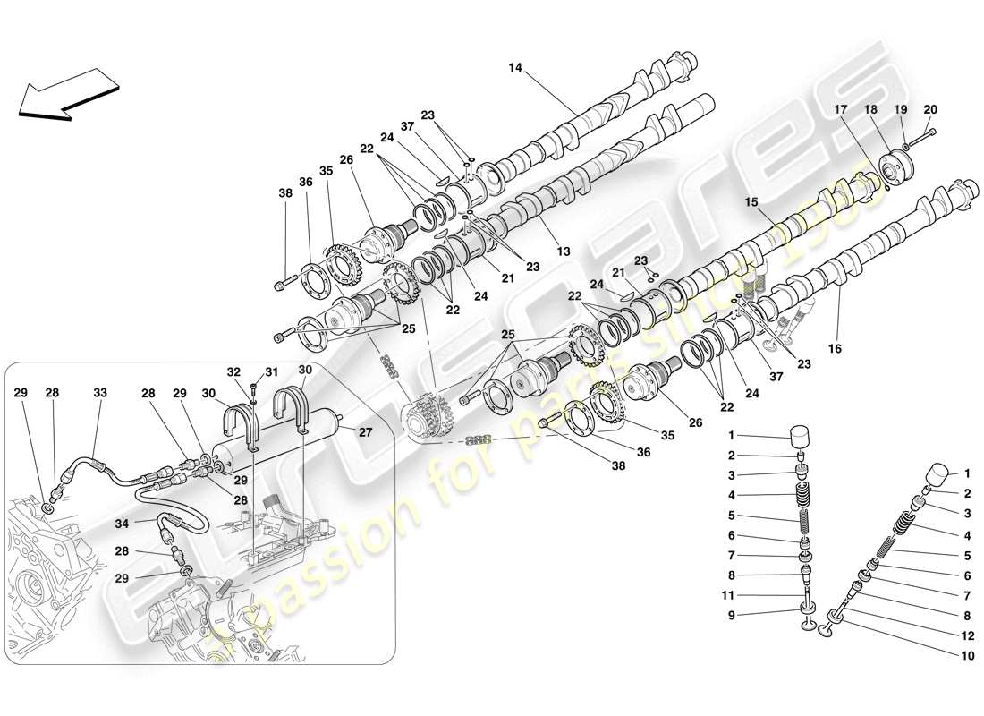 Ferrari F430 Spider (USA) timing system - tappets Part Diagram