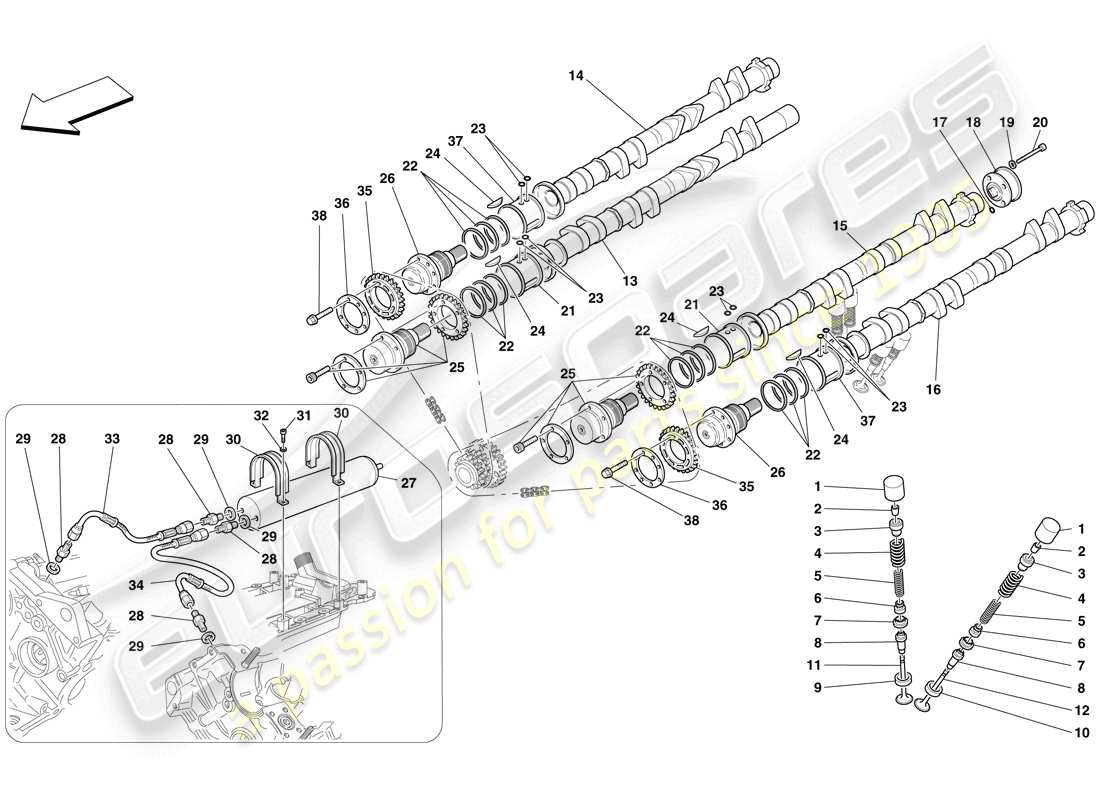 ferrari f430 spider (rhd) timing system - tappets parts diagram