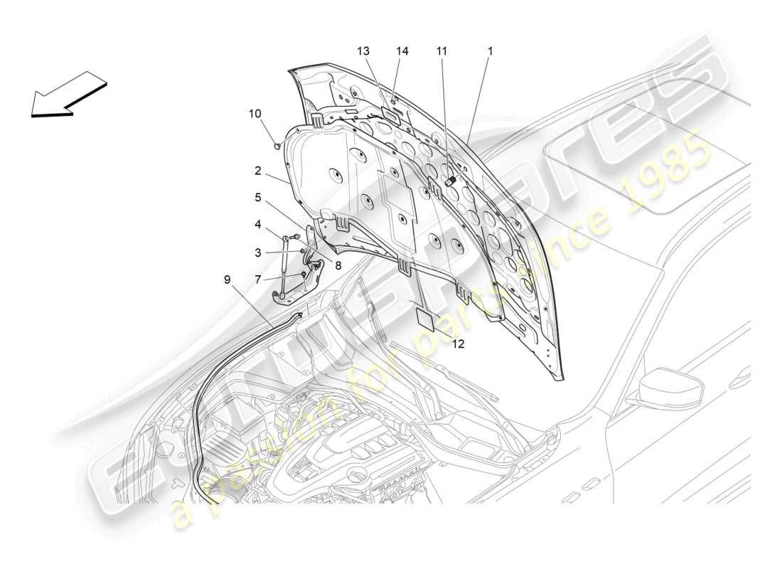 maserati levante zenga (2020) front lid part diagram