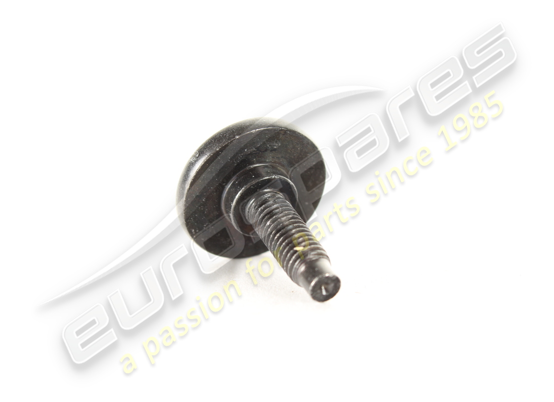 new ferrari screw m6 x 22. part number 83442900 (2)