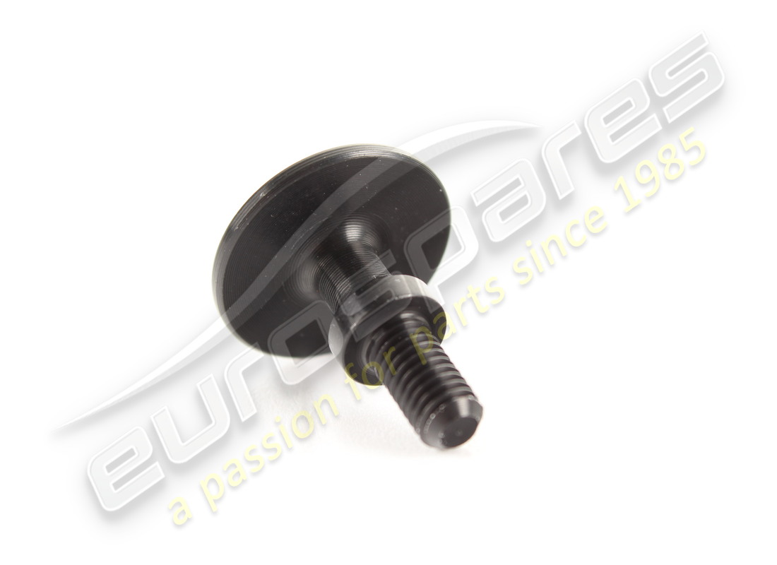 new ferrari screw.. part number 67509600 (2)