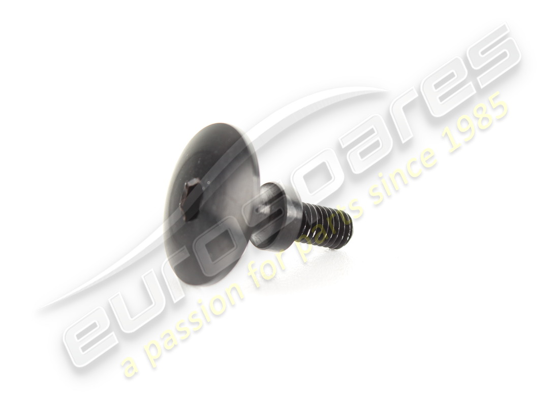 new ferrari screw.. part number 67509600 (1)