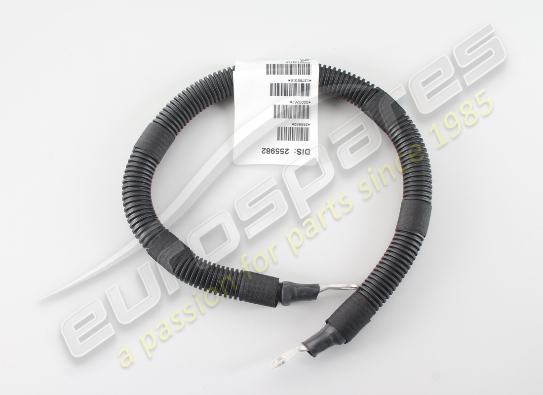 NEW Ferrari CHASSIS GROUND CABLE . PART NUMBER 255982 (1)