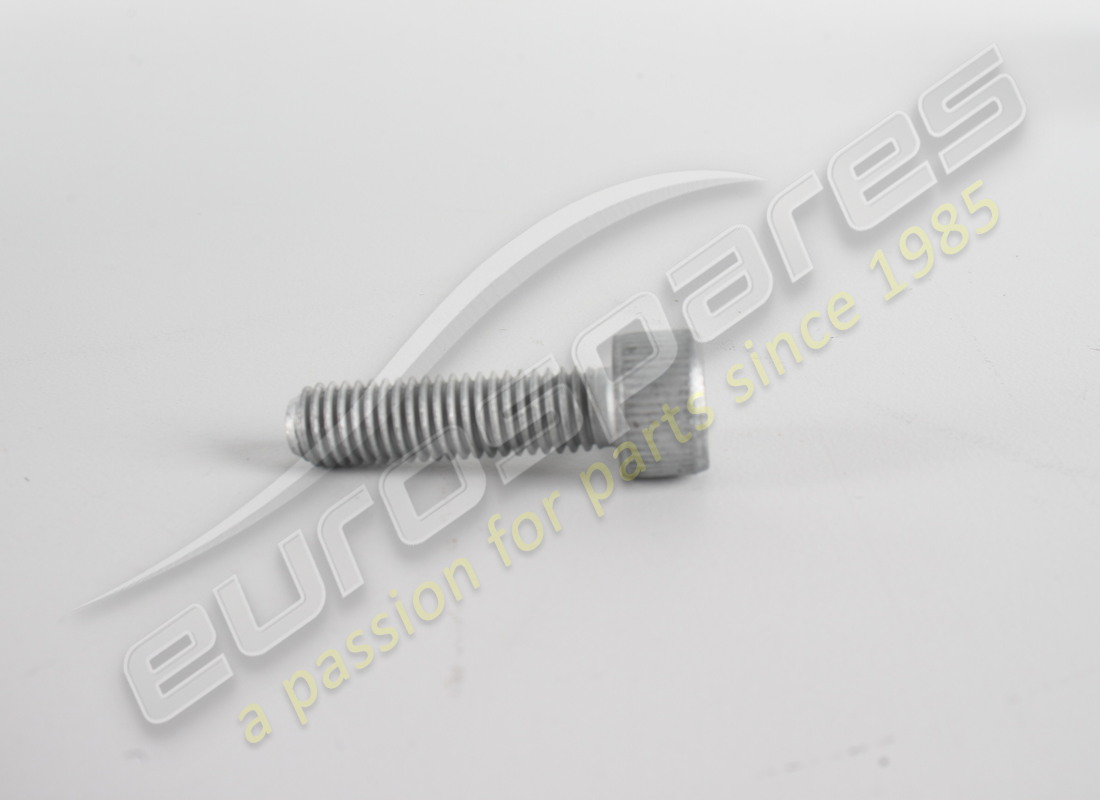 new ferrari screw. part number 14306524 (1)