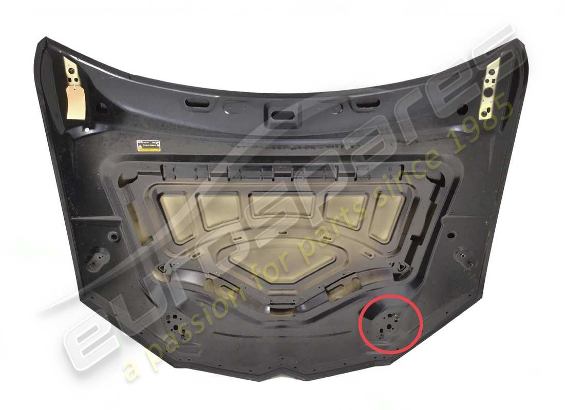 damaged lamborghini hood. part number 4ml823029 (4)