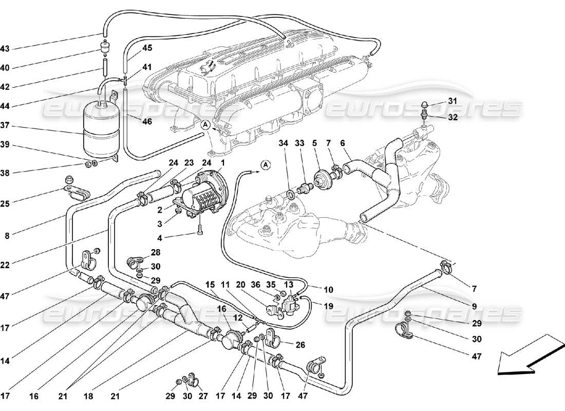 ferrari 550 maranello secondary air pump parts diagram