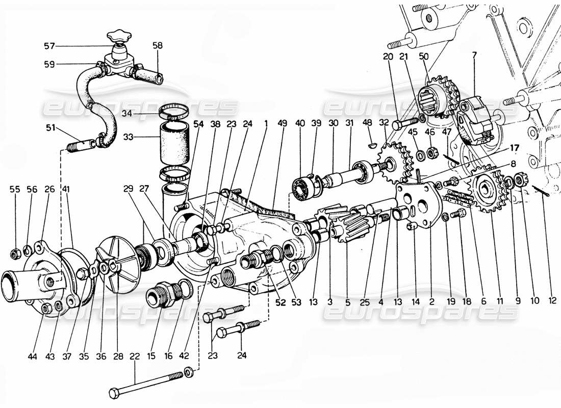 ferrari 365 gtc4 (mechanical) water & oil pump parts diagram