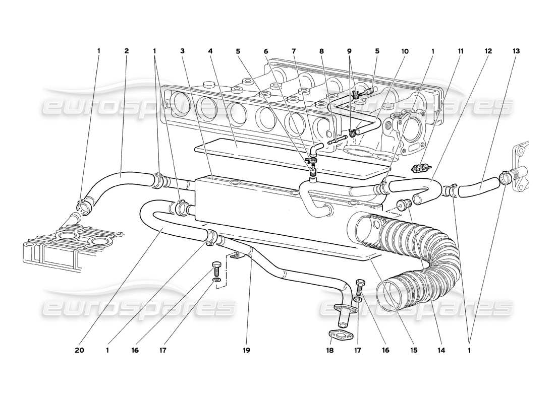 lamborghini diablo sv (1999) engine oil breathing system parts diagram