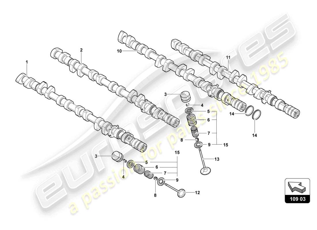 lamborghini sian (2020) camshaft, valves parts diagram