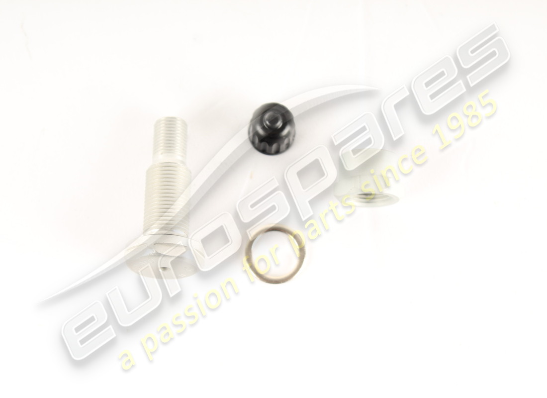 new maserati valve for tubeless covering. part number 174166 (1)