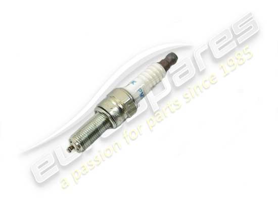 new eurospares spark plug (ngk) part number 239242